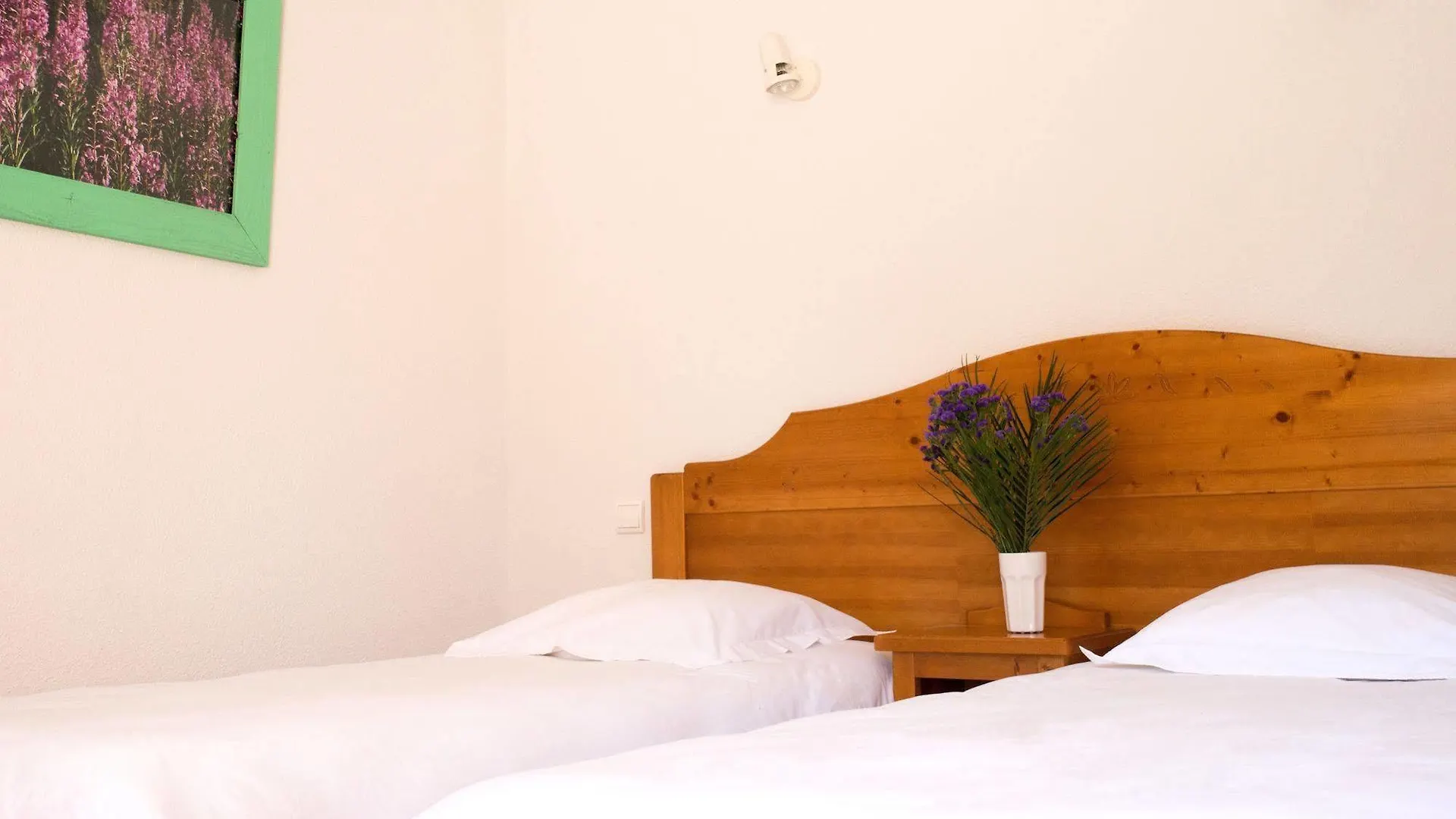 Domaine De La Plagnette *** Hotel Les Salles